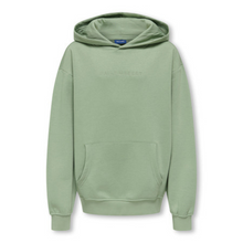 Lade das Bild in den Galerie-Viewer, Hoodie Bill
