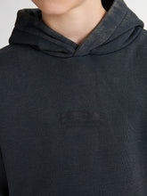 Cargar imagen en el visor de la galería, Hoodie SWH332
