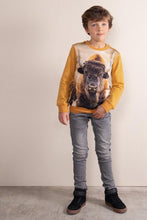 Afbeelding in Gallery-weergave laden, Sweater Scout
