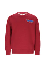 Afbeelding in Gallery-weergave laden, Sweater Simon
